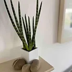 Сasa de vacaciones Seaside Chic! Modern Cosy