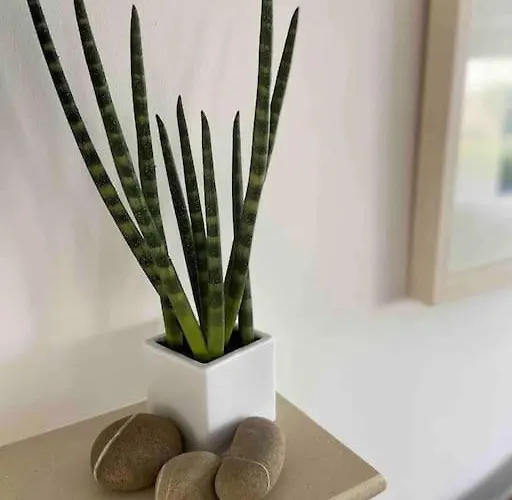 Feriehus Seaside Chic! Modern Cosy